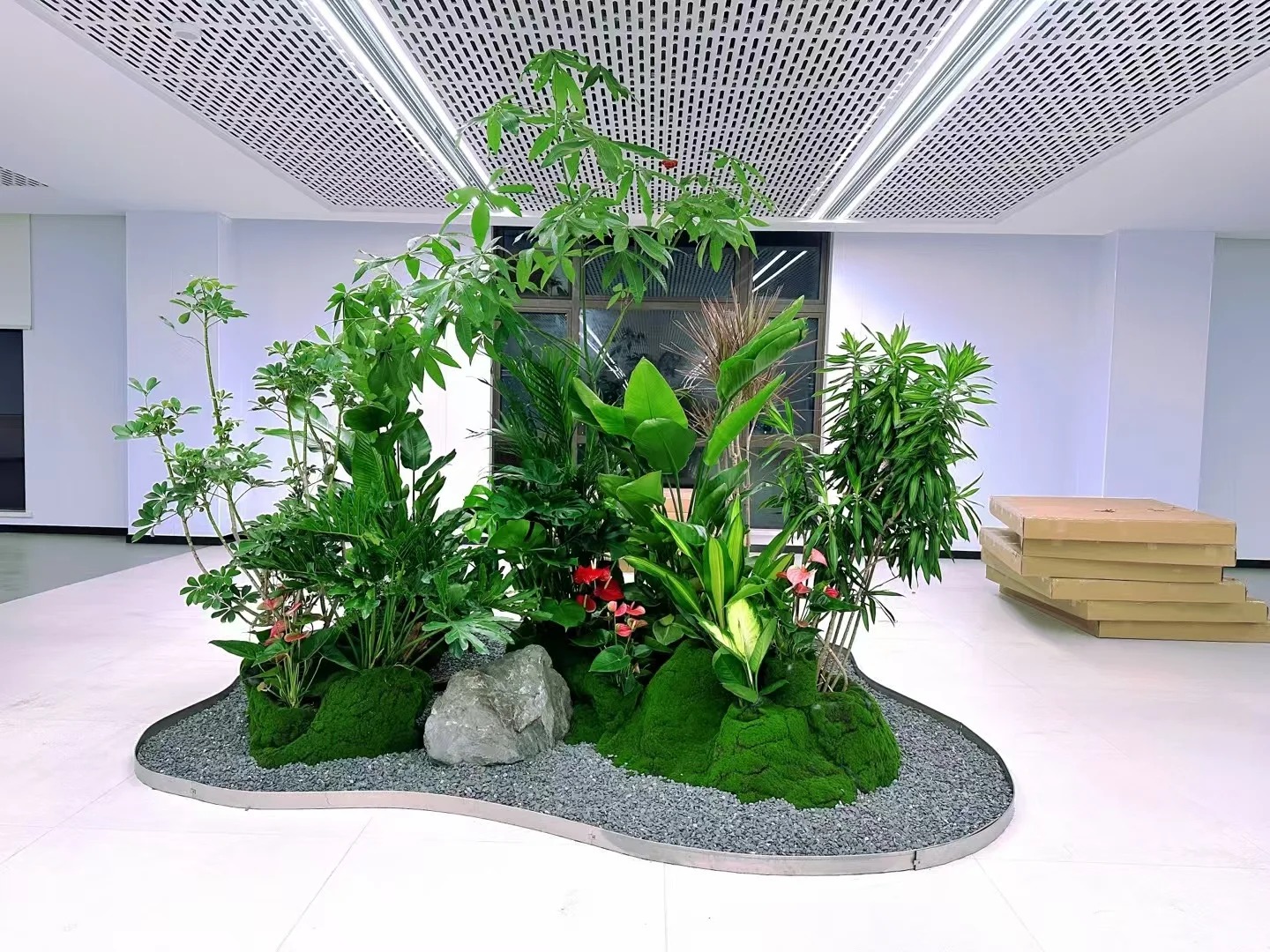 专业引领，宁波盆景租摆别样精彩